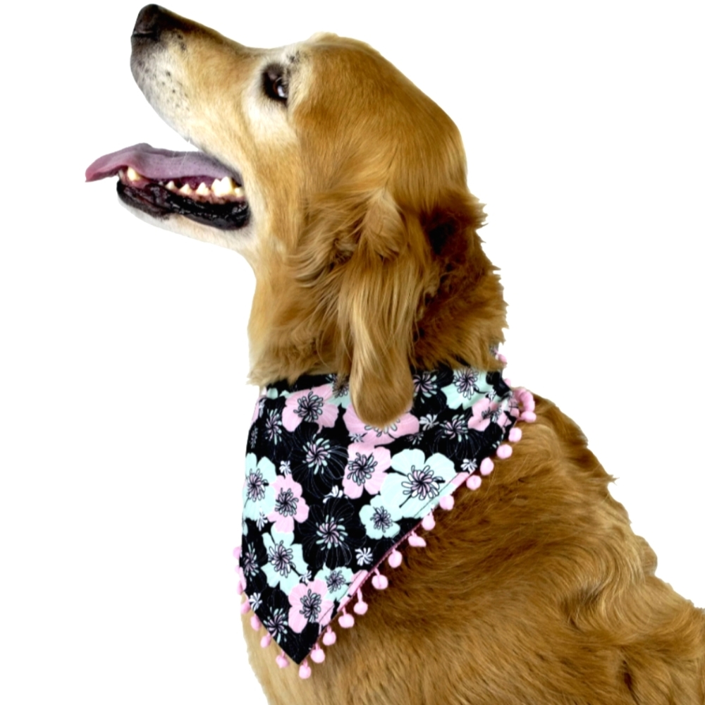 🌻 Vibrant Life Dog Black Pink Floral Bandana with Pom Edges Size XS/S